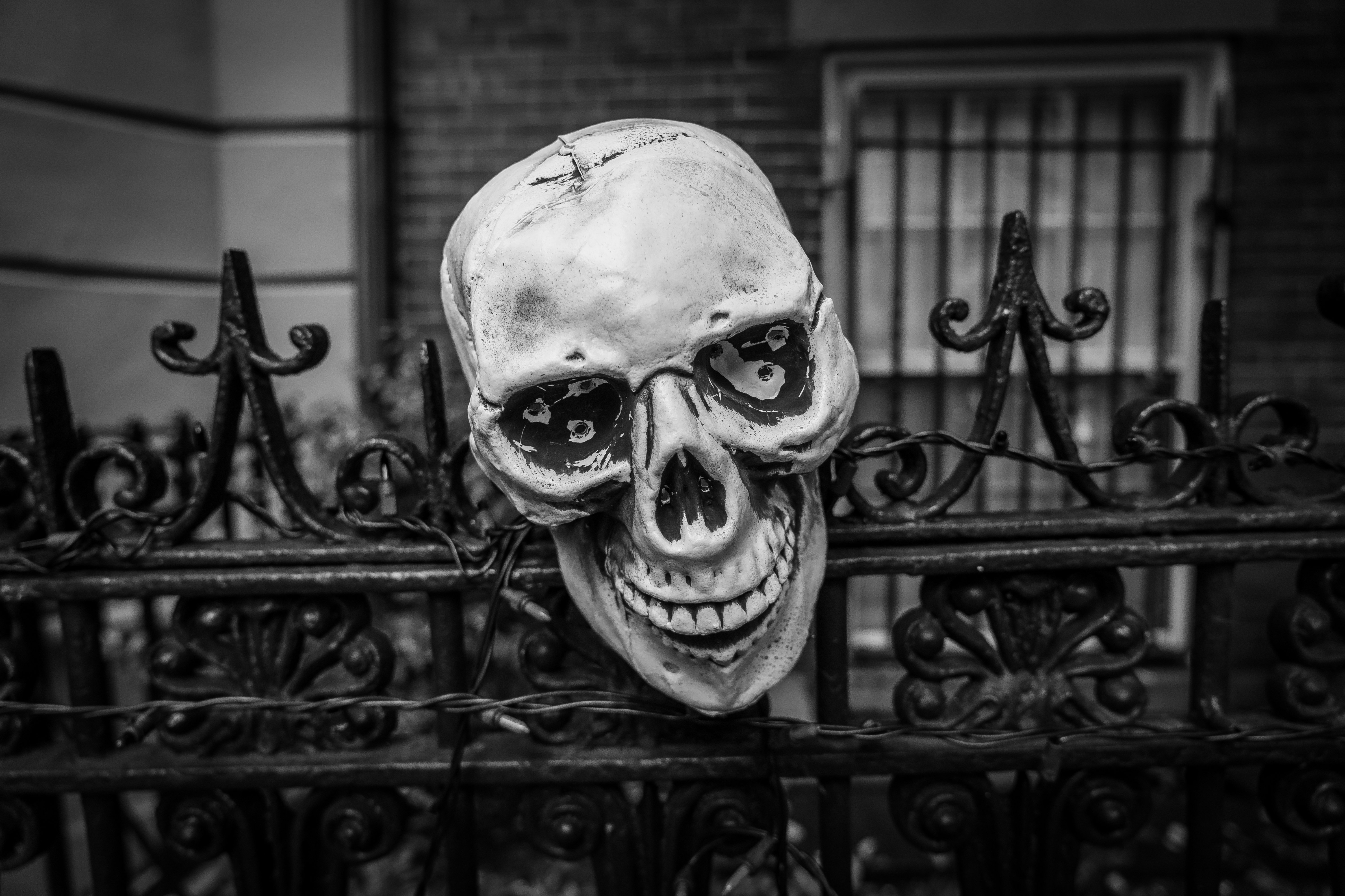 skull decoration on wrought iron fence