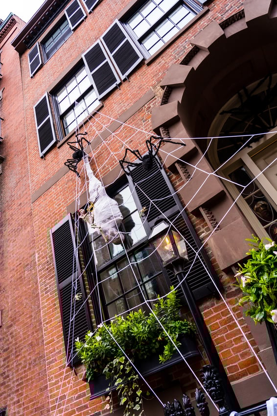 spider web decoration on brick building in Beacon Hill