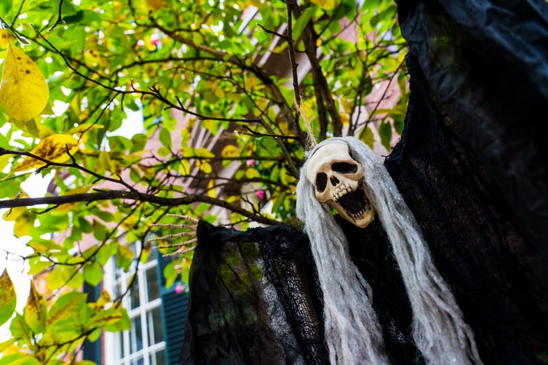 spooky skull decoration in front of foliage