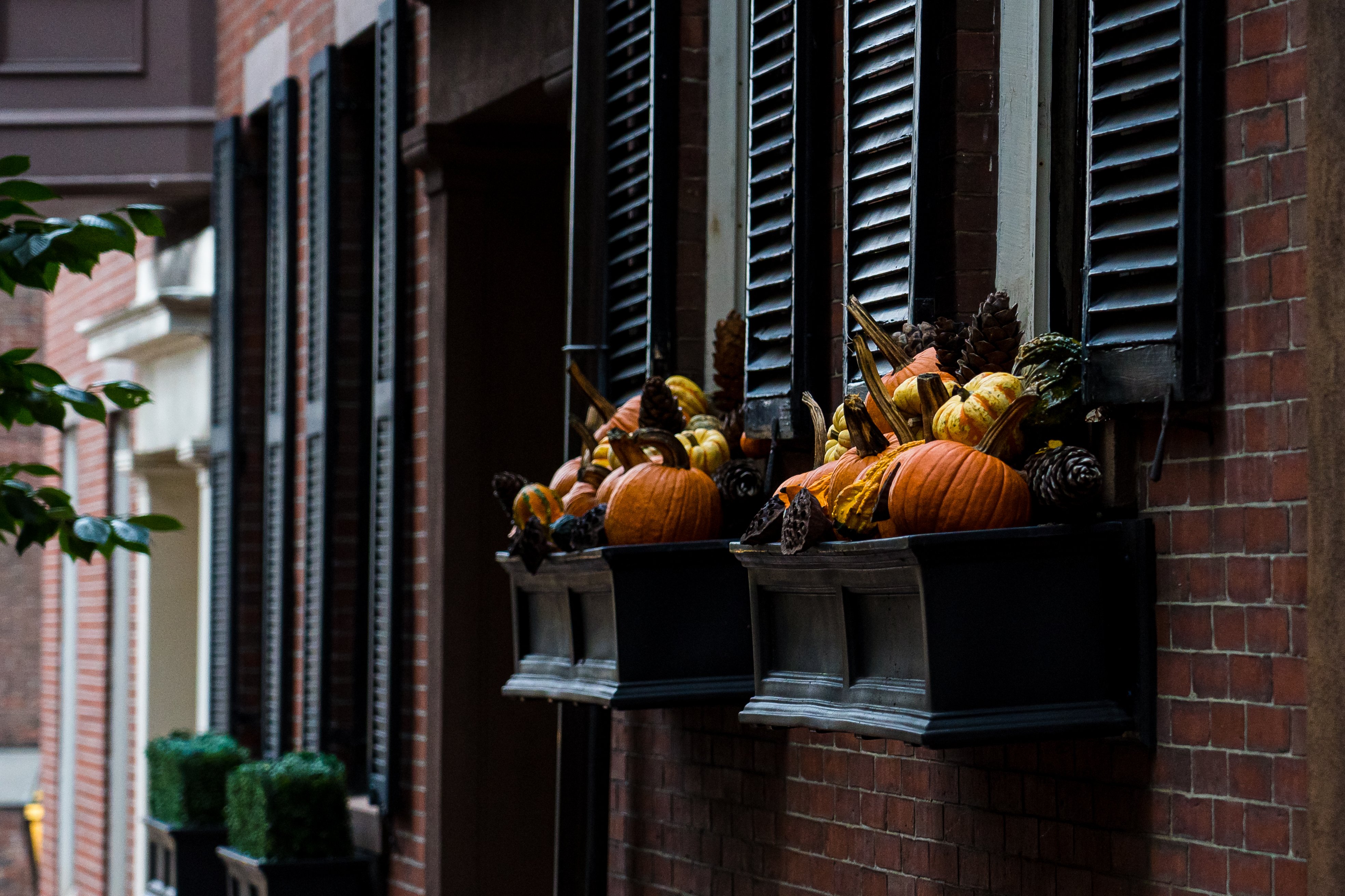 window boxes with pumpkins and fall decorations
